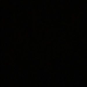 Meet your Posher, Lilly